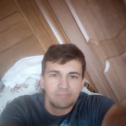 �����, �����������