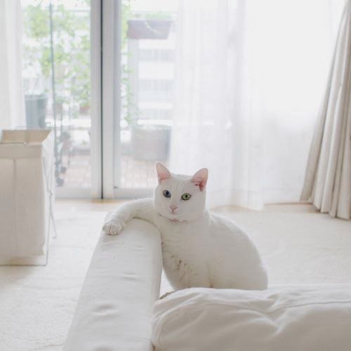   :3