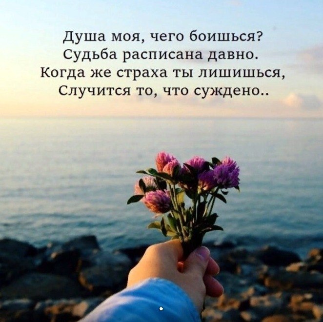     - 29  2019  03:29