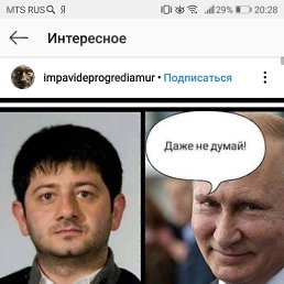 ����, ���������, 36 ���