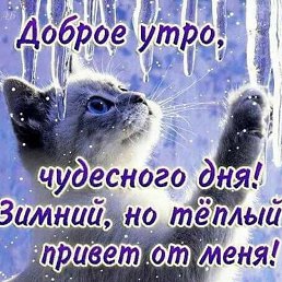 ���� Igor, ����-��������� - ��������� 3 ������� 2019