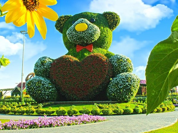     (Dubai Miracle Garden).  ? - 4