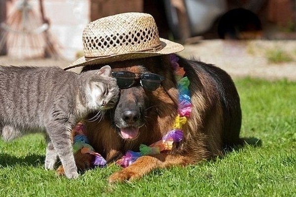 kak   a ka a o, a a a  . aa  aoko - 7