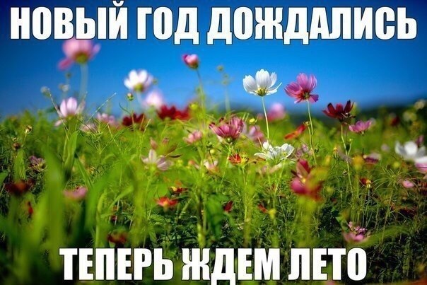    :D - 1  2020  19:06