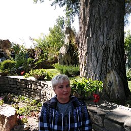 ���������, ������, 52 ����