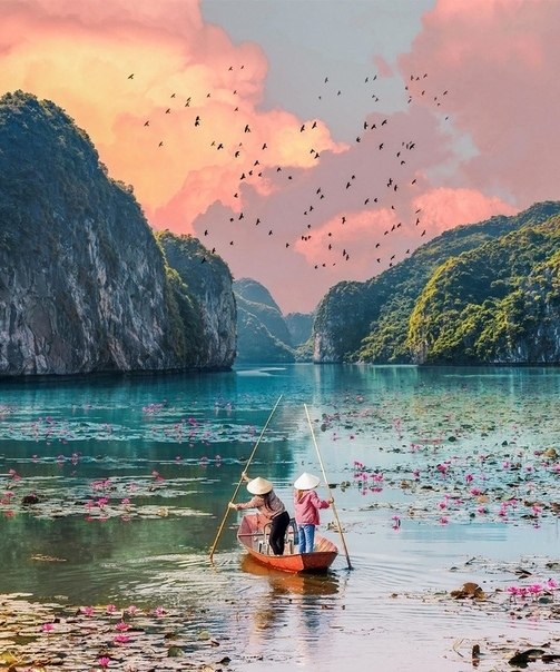 pacoa-o aa!.Halong Bay, Vitnam