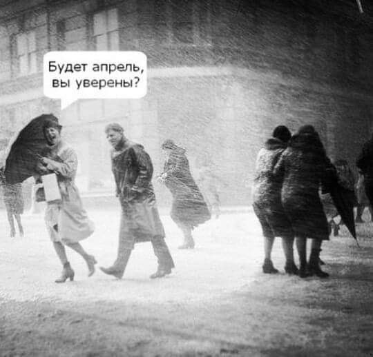 степриимный стрж зaряжaет ружье слью и хлебм. Весь мир - театр. Здесь всем раздали роли, страницы, ...