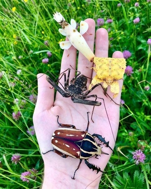     ,   