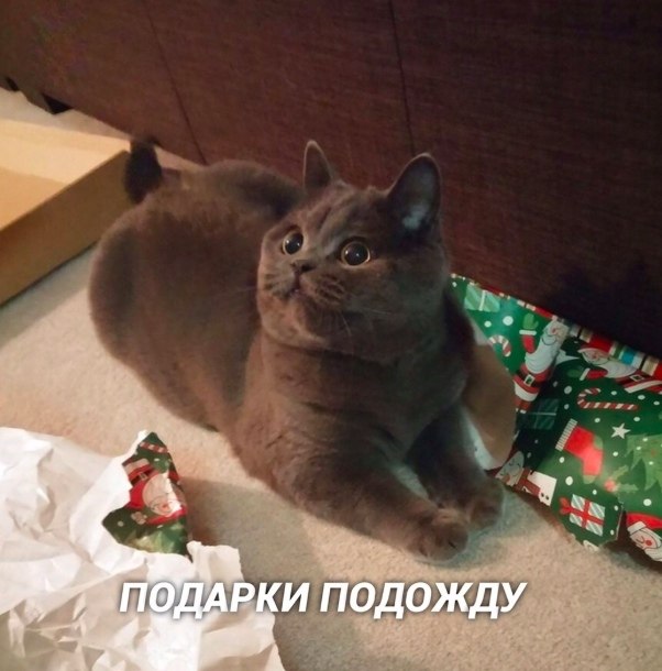    - 4