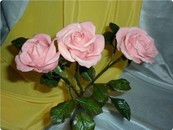 �o�o���� �ap�op (�e� �ap��).�o�a�o����� ���pe��e���:- ����p����� ��� �ap�o�e����� �pa��a�- ���e�a� ... - 5