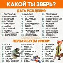  ,  -  4  2019    