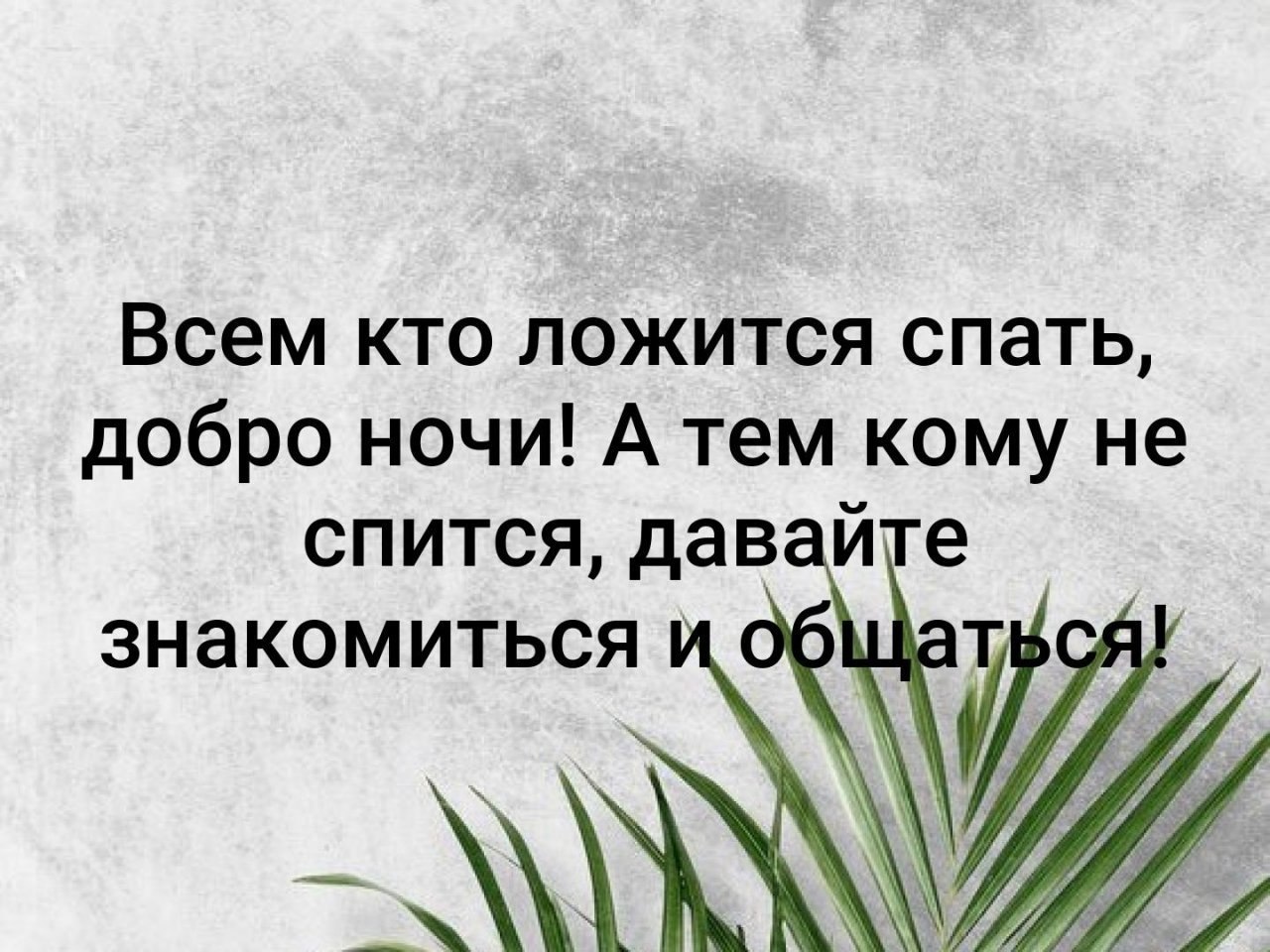   - 31  2019  03:51