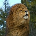 ���� ���������, ���������, 60 ��� - ��������� 30 ������ 2019 � ������ ���� ����������