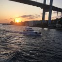 ���� �����, �������� - ��������� 10 ������ 2019 � ������ ������ ��������