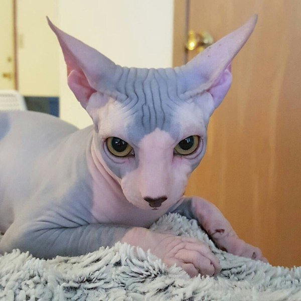    :3 - 2