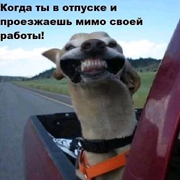 ���� ��������, ������, 42 ���� - ��������� 22 ���� 2019