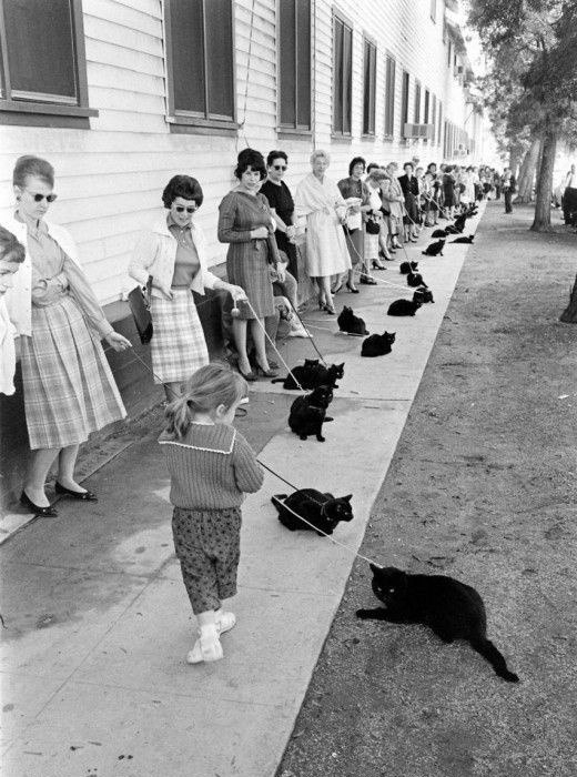 , 1961 .            - 5