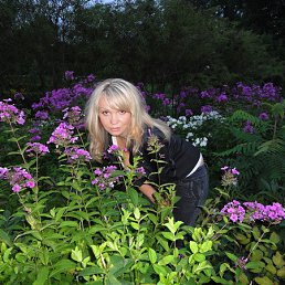 �������, ������, 38 ���