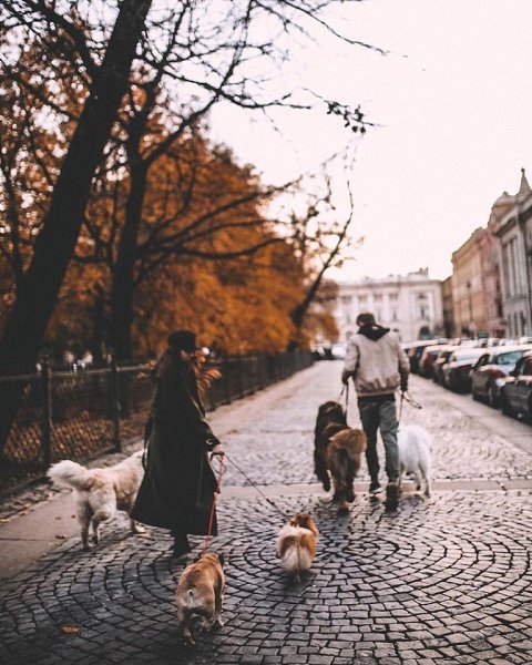 День без улыбки — потерянный день. ©Чарли Чаплин #цитатадня@psyxov - 5
