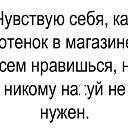  Nikolya .,  -  29  2019    