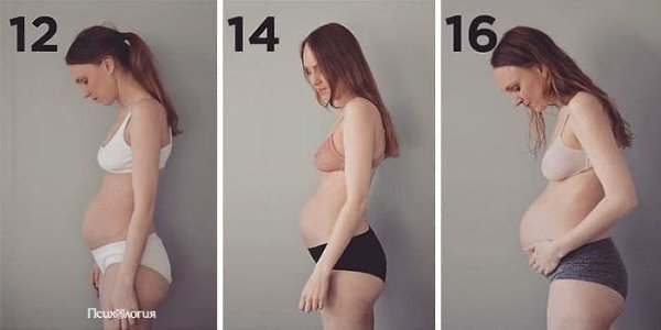 Когда смотришь на такие фотографии, понимаешь, что материнство величественно!