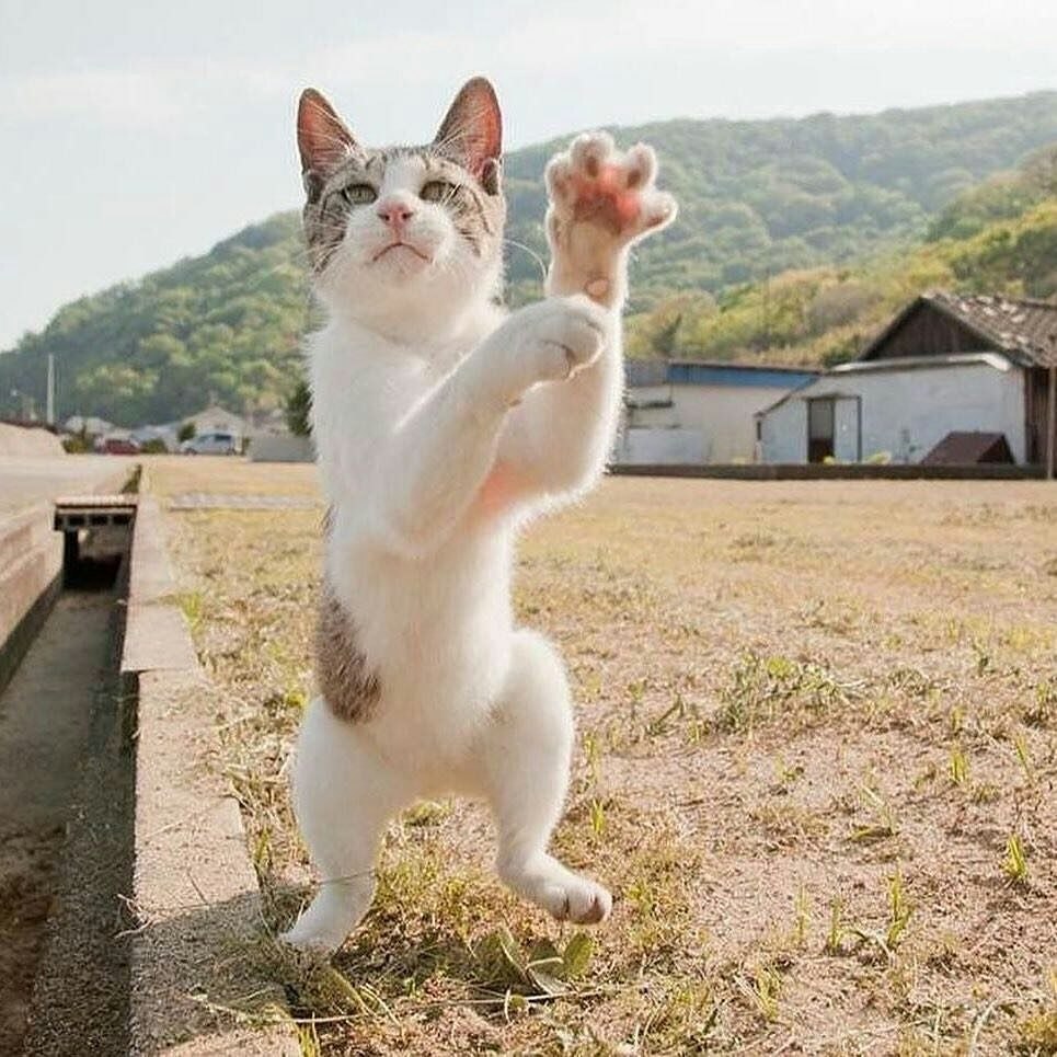 Ca  !   !