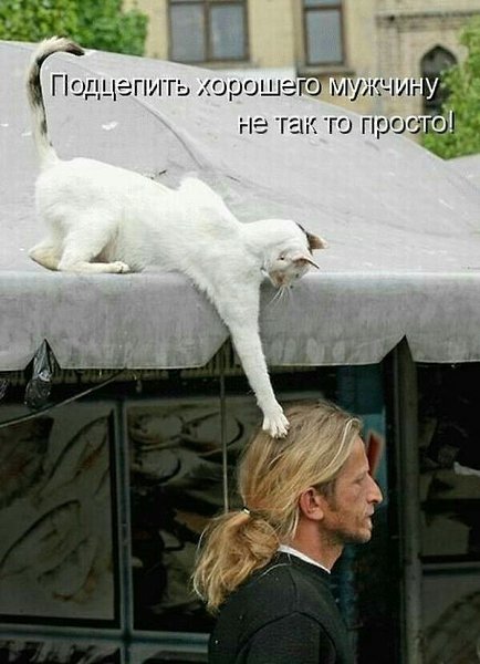 ***Victoria Viktorovna*** - 13  2019  14:54