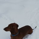  Anna, - -  10  2019    