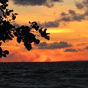 ���� ��������, �����-���������, 74 ���� - ��������� 15 ���� 2019 � ������ ���� ���, ��� ������� �� ������.�