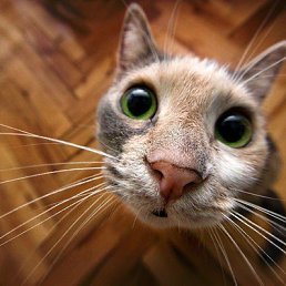 ���� ����, ������, 23 ����