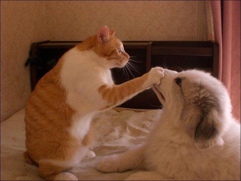 Mo, , ! He   !    o!!!