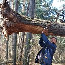 ���� ���������, ��������, 62 ���� - ��������� 1 ������ 2019 � ������ ������������ � ��������