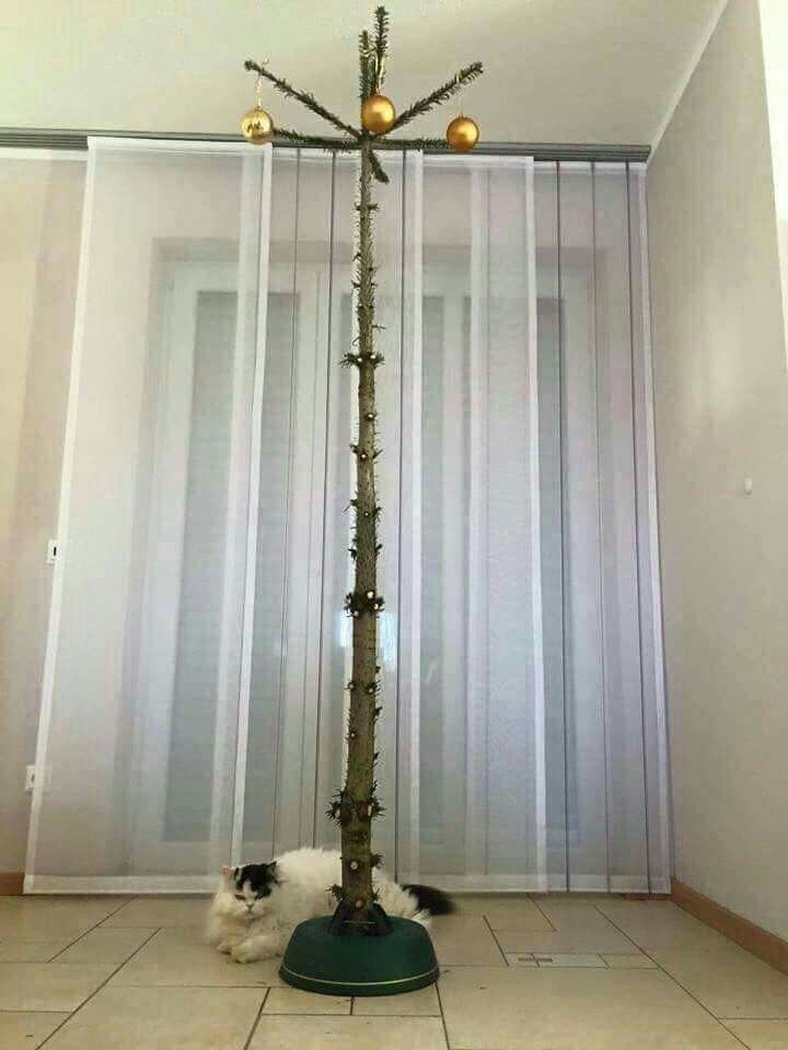    - 6