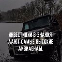 ���� �������, ����, 41 ��� - ��������� 24 �������� 2019 � ������ ���� ����������