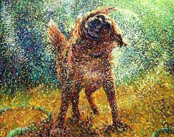  ,  .:   (Iris Scott)