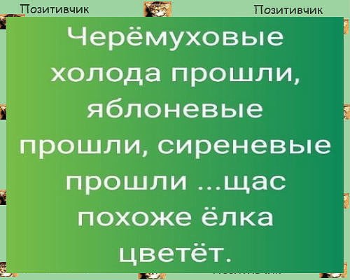  - 14  2019  11:43