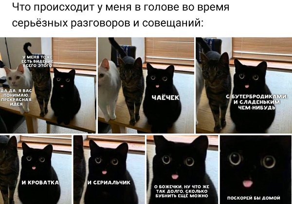 =Fox= - 13  2019  12:05