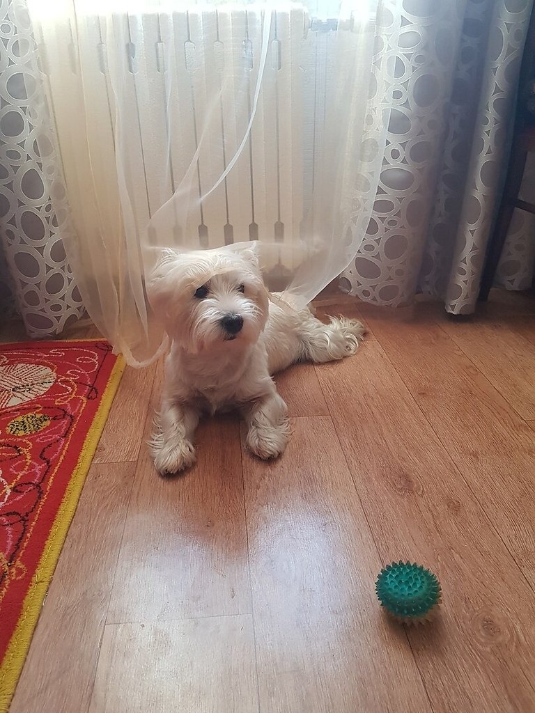 . 4 !)
