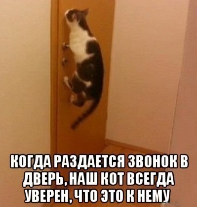    - 29  2019  03:44