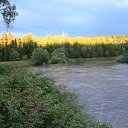 ���� ������, �������, 68 ��� - ��������� 1 ������ 2019 � ������ ������.��. ������.������.�