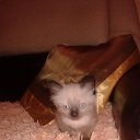 ���� ���������, ������, 42 ���� - ��������� 19 ������ 2019 � ������ ���� ����������