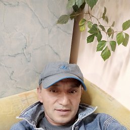 �����, �����������, 51 ���