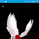 ���� G, ������� �����, 57 ��� - ��������� 5 ������ 2019 � ������ ���� ����������