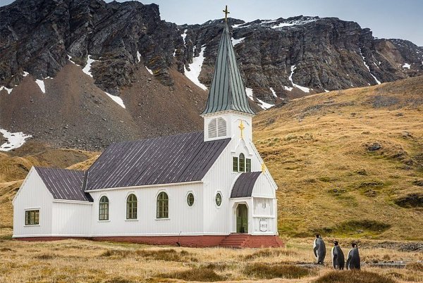 Финалисты конкурса на самую смешную фотографию дикой природы - 7