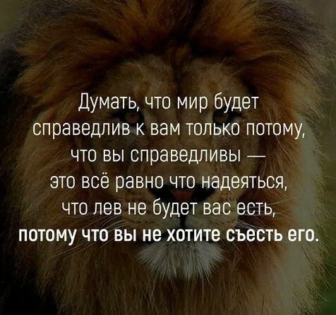     - 1  2019  18:58