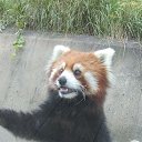 ���� �������, �����-���������, 56 ��� - ��������� 17 ������� 2019 � ������ ���� ����������