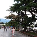  , -, 60  -  29  2019    