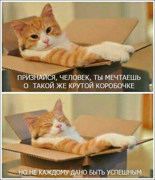    - 10  2019  03:55