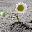  ••,  -  11  2019       ...