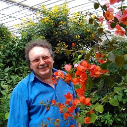 Valdis, ����, 71 ���